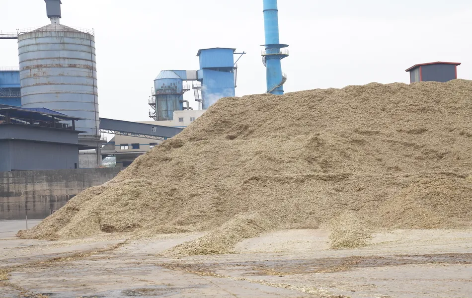 Bamboo Chip Fermentation
