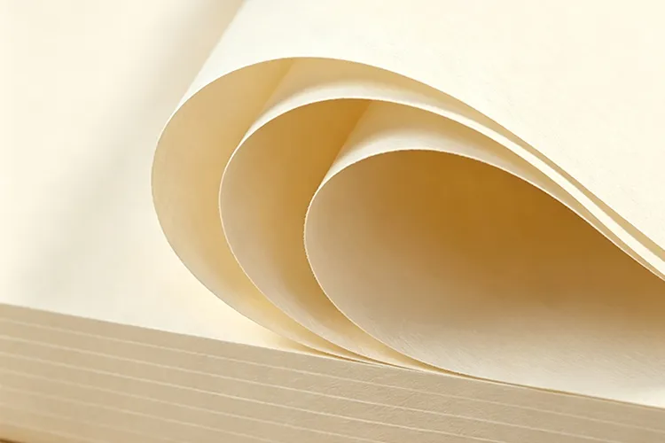 Bamboo Pulp Board