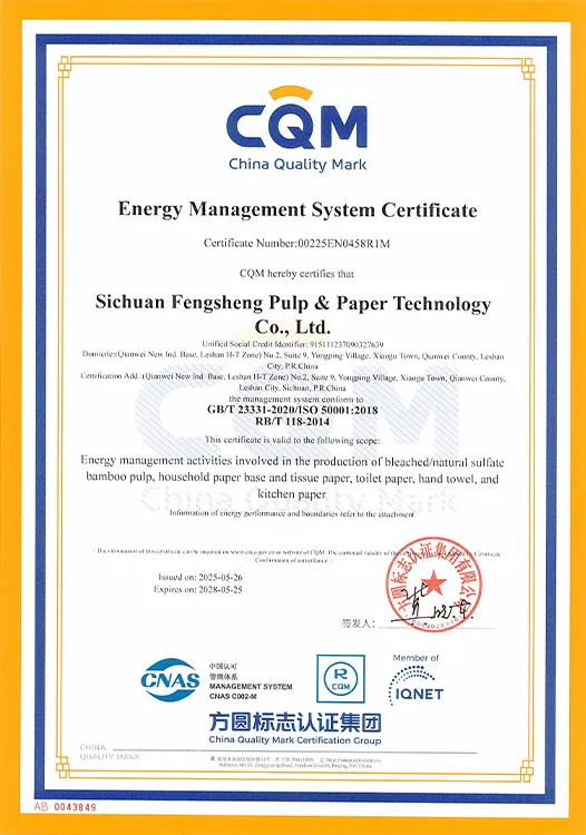 ISO 50001
