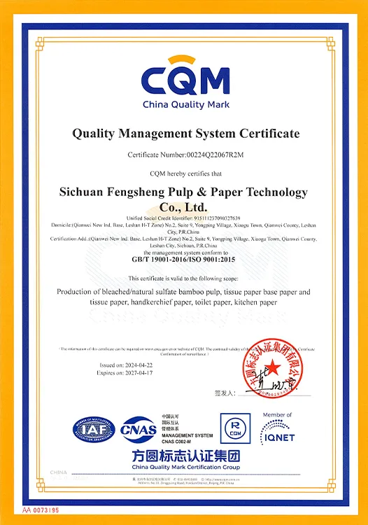 ISO 9001